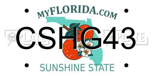 CSHG43 Florida License Plate