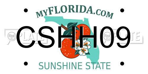 CSHH09 Florida License Plate