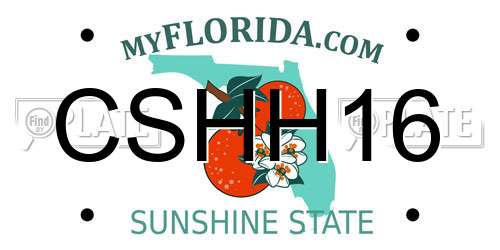 CSHH16 Florida License Plate