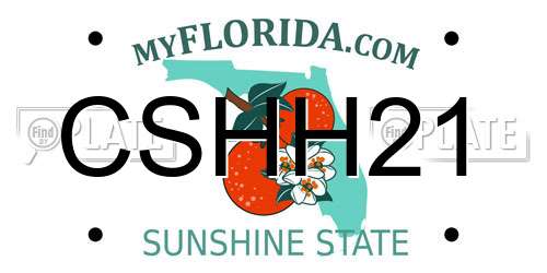 CSHH21 Florida License Plate