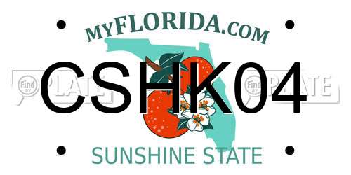 CSHK04 Florida License Plate
