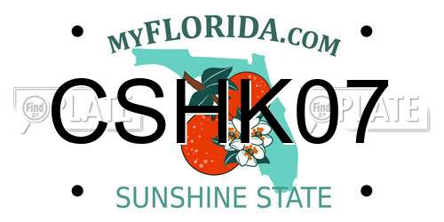 CSHK07 Florida License Plate
