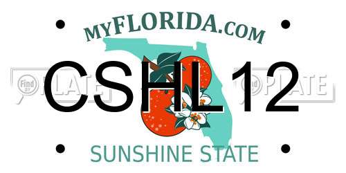 CSHL12 Florida License Plate