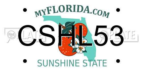 CSHL53 Florida License Plate