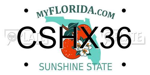 CSHX36 Florida License Plate
