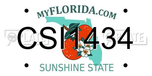 CSI1434 Florida License Plate