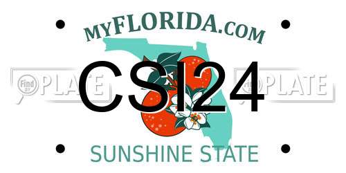 CSI24 Florida License Plate