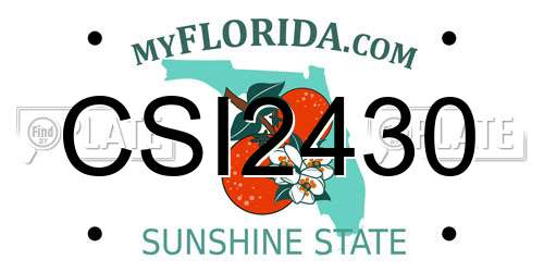 CSI2430 Florida License Plate