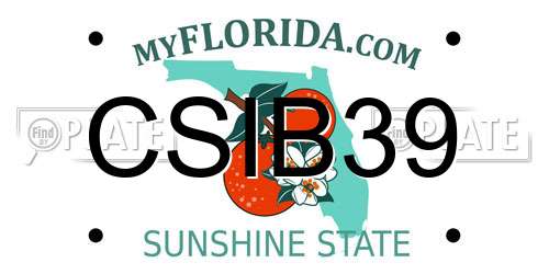 CSIB39 Florida License Plate