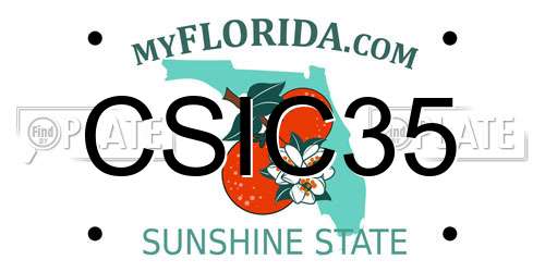 CSIC35 Florida License Plate