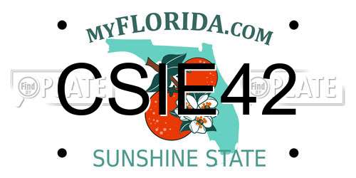 CSIE42 Florida License Plate