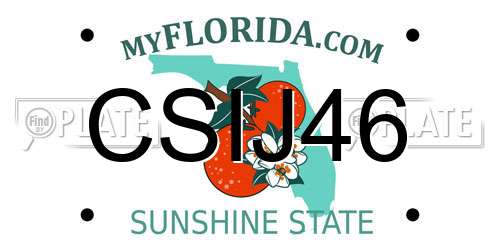 CSIJ46 Florida License Plate