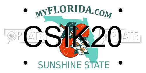 CSIK20 Florida License Plate