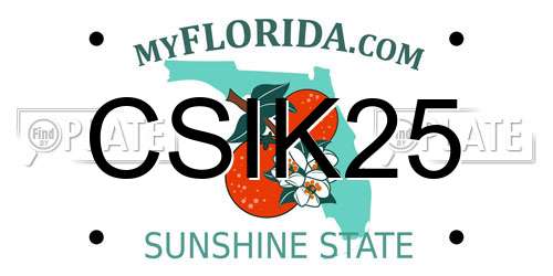 CSIK25 Florida License Plate