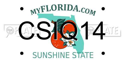 CSIQ14 Florida License Plate