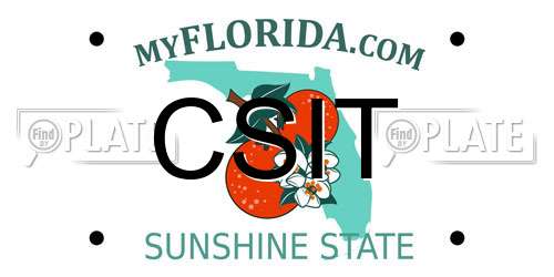 CSIT Florida License Plate