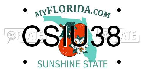 CSIU38 Florida License Plate