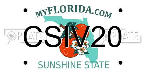 CSIV20 Florida License Plate