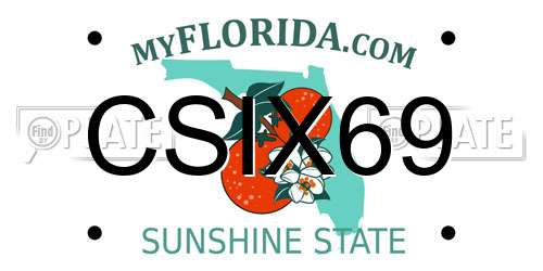 CSIX69 Florida License Plate