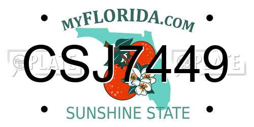 CSJ7449 Florida License Plate