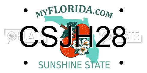 CSJH28 Florida License Plate