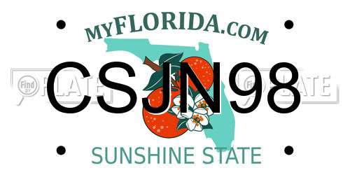 CSJN98 Florida License Plate