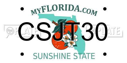 CSJT30 Florida License Plate