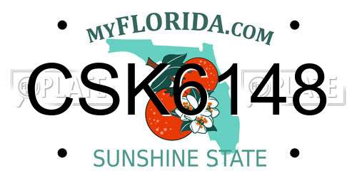 CSK6148 Florida License Plate