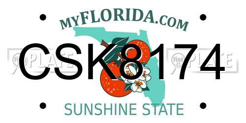 CSK8174 Florida License Plate