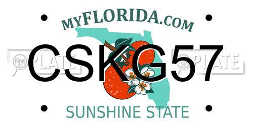 CSKG57 Florida License Plate