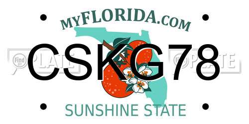 CSKG78 Florida License Plate