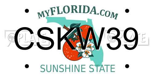 CSKW39 Florida License Plate