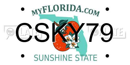 CSKY79 Florida License Plate