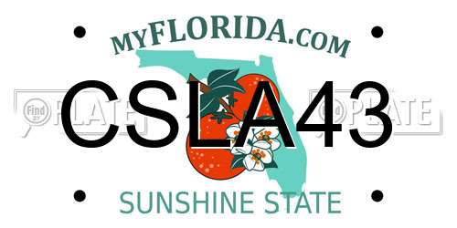CSLA43 Florida License Plate