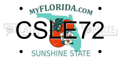 CSLE72 Florida License Plate