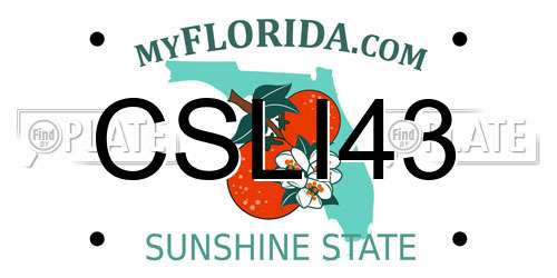 CSLI43 Florida License Plate