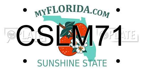 CSLM71 Florida License Plate