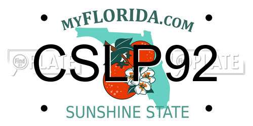 CSLP92 Florida License Plate