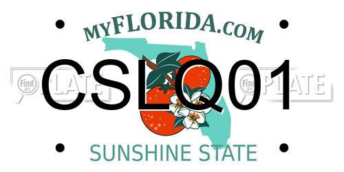 CSLQ01 Florida License Plate