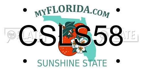 CSLS58 Florida License Plate