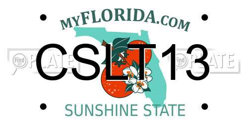 CSLT13 Florida License Plate