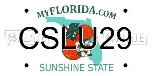 CSLU29 Florida License Plate