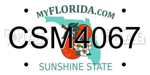 CSM4067 Florida License Plate