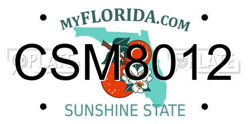 CSM8012 Florida License Plate
