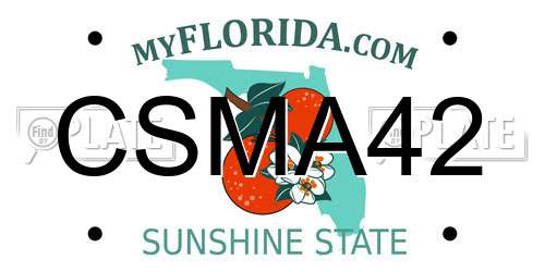 CSMA42 Florida License Plate