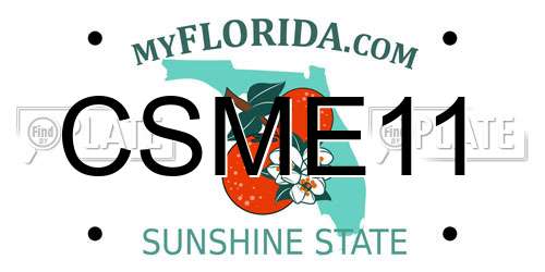 CSME11 Florida License Plate
