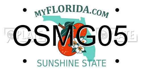 CSMG05 Florida License Plate