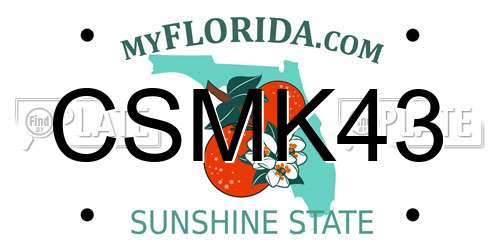 CSMK43 Florida License Plate