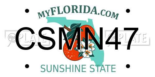 CSMN47 Florida License Plate