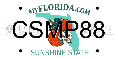 CSMP88 Florida License Plate